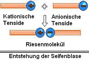 Bildbeschreibung