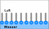 Bildbeschreibung